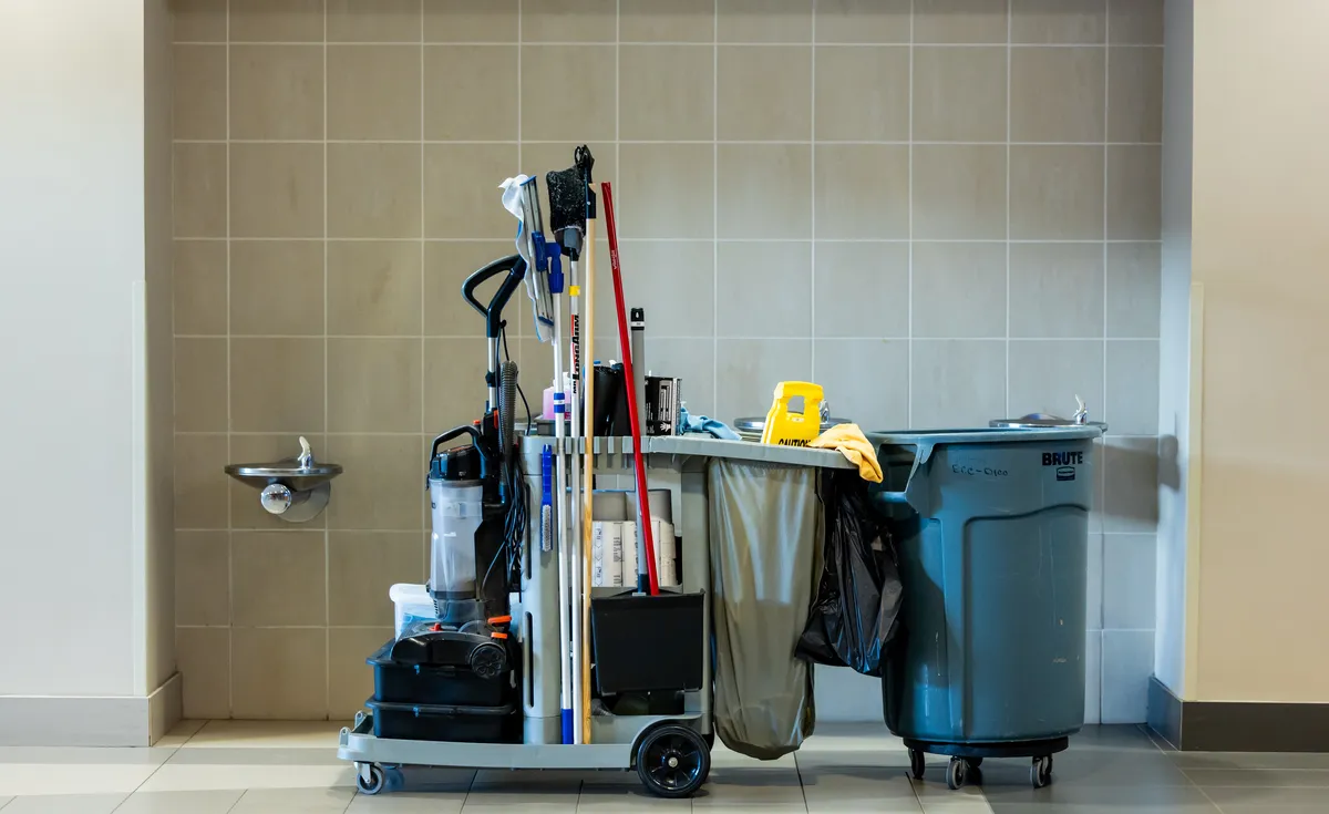 Vacuum Cleaner Maintenance: How to Clean and Care for Your Vacuum